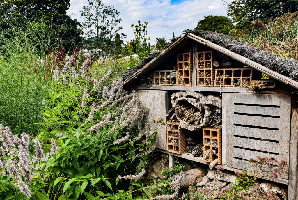 Foto von Sido Bentriki: https://www.pexels.com/de-de/foto/holzern-lagerung-insektenhotel-6915677/